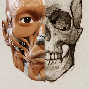 3D Анатомия для художников Lite