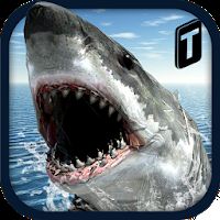 Crazy Shark 3D Sim [Много денег]